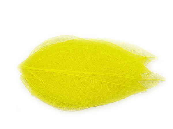 5 Nail Art Nailart Getrocknete Blätter in Gelb