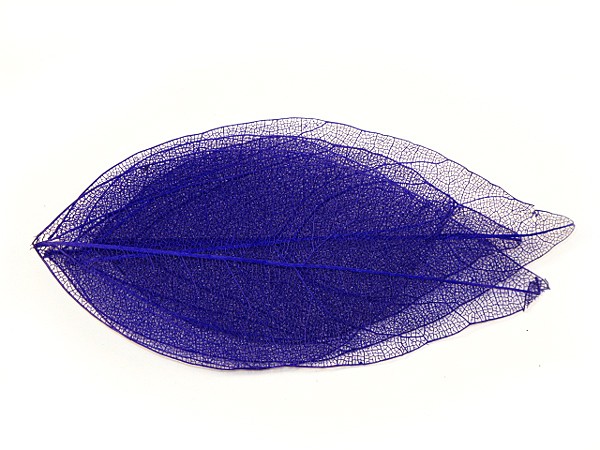 5 Nail Art Nailart Getrocknete Blätter in dunkel LIla