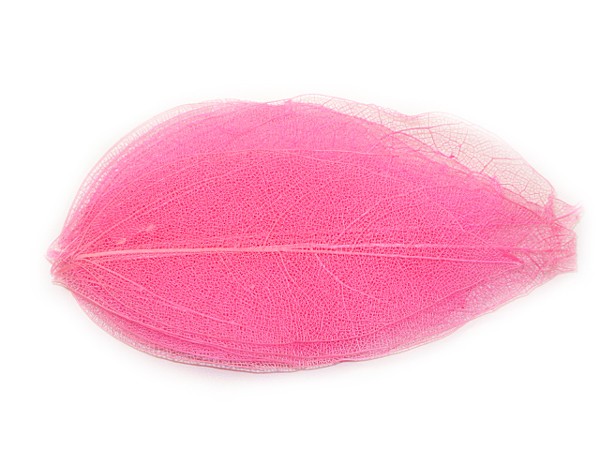 5 Nail Art Nailart Getrocknete Blätter in Rosa