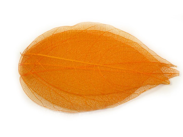 5 Nail Art Nailart Getrocknete Blätter in Orange