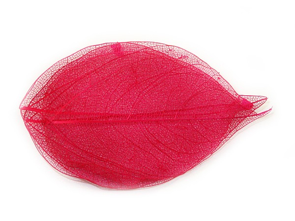 5 Nail Art Nailart Getrocknete Blätter in Rot